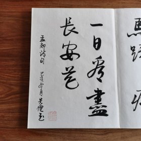 8开大本精品连环画名家毛笔书法册页：《海上名家书法集》 (册页长35厘米，宽25厘米)