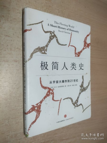 极简人类史：从宇宙大爆炸到21世纪