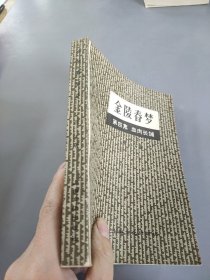 金陵春梦第四集血肉长城