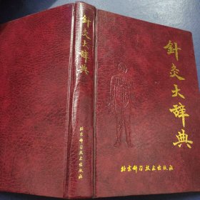 针灸大辞典