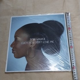 TERRI WALKER GUESS YOU DIDN'T LOVE ME 黑胶唱片1张