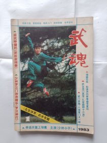 《武魂（杂志）》，16开。6本不重复，合售。