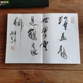 8开大本精品连环画名家毛笔书法册页：《海上名家书法集》 (册页长35厘米，宽25厘米)