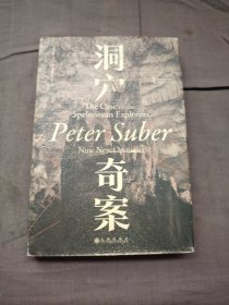 洞穴奇案 法哲学专业领域寓言式的经典文献，优秀跨学科通识教育的理想读本