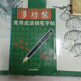 多功能常用成语钢笔字帖