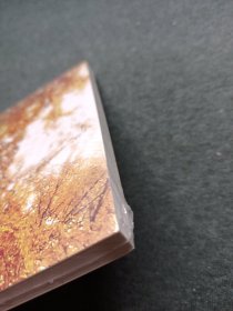 大学青春人生——北理工人的成长印迹（2017—2021）