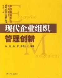 现代企业组织管理创新肖旭9787306028297