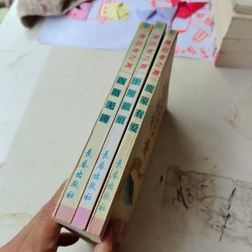 漂泊之旅 荒原有爱 十年旅痕 西路无碑
