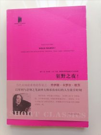 狂野之夜！：关于爱伦·坡、狄金森、马克·吐温、詹姆斯和海明威最后时日的故事