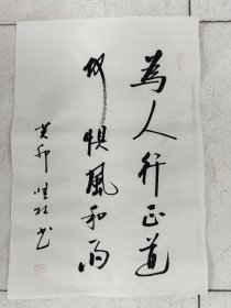 书法作品《为人行正道何惧风和雨》