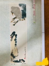 《松鹰》潘天寿绘1954年印刷画片