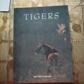 TIGERS