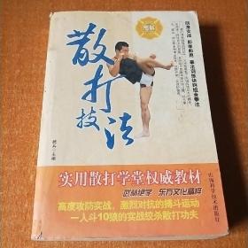 散打技法