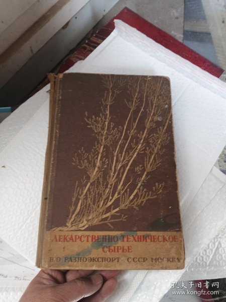 俄文原版植物图书 多彩图 详见图片