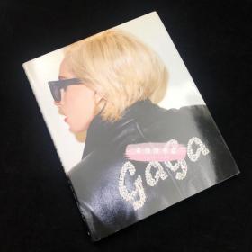 LADY GAGA x TERRY RICHARDSON 写真集