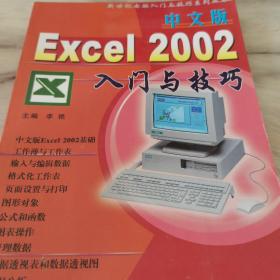 中文版Excel 2002入门与技巧