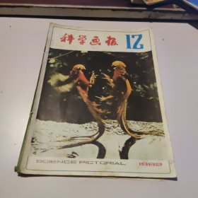 科学画报1982/12