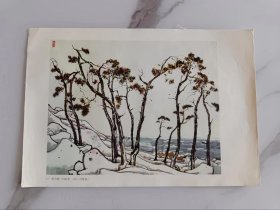 松与海画1983年100～70厘米画片