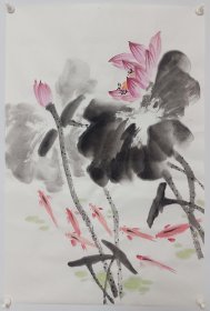 无款，四尺三开荷花 书摊也有作品