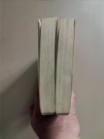 年羹尧(上下)-清代虎将-长篇历史小说