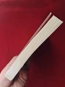 爆发：大数据时代预见未来的新思维