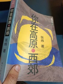 你在高原·西郊:长篇小说