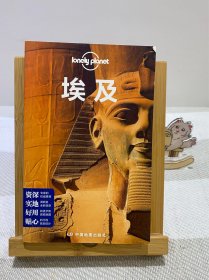 孤独星球Lonely Planet旅行指南系列：埃及