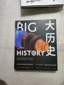 DK大历史：从宇宙大爆炸到我们人类的未来，138亿年的非凡旅程