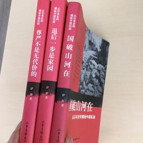 尊严不是无代价的：从日本史料揭秘中国抗战：典藏版