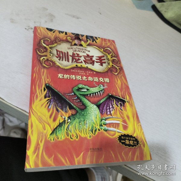 驯龙高手5:龙的传说之命运交错（梦工厂同名动画原著强势来袭，全球销量超过百万，带你领略小嗝嗝的英雄成长史！）