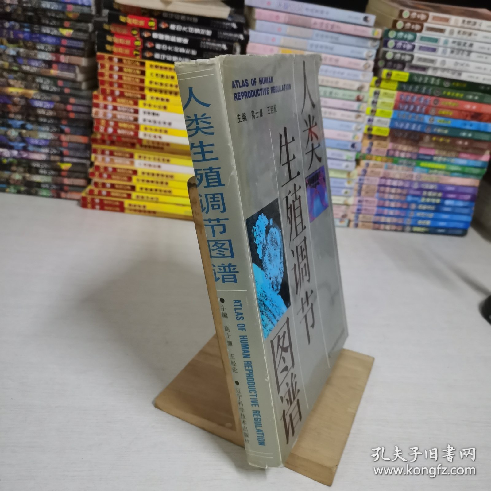 人类生殖调节图谱