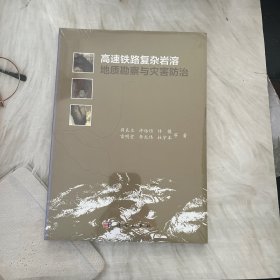高速铁路复杂岩溶地质勘察与灾害防治