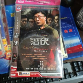 电视剧：潜伏 6DVD