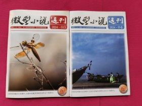 微型小说选刊（2024年第3.4期）