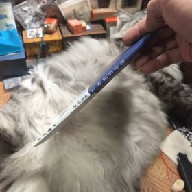 文史知识文库：词学名词释义