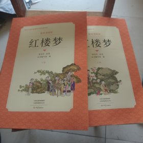 整本书阅读《红楼梦》上下册