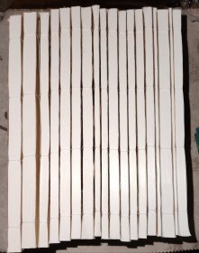 线装 施氏宗谱 2-16卷 18册 自然旧瑕疵如图所示内页干净无破损涂画