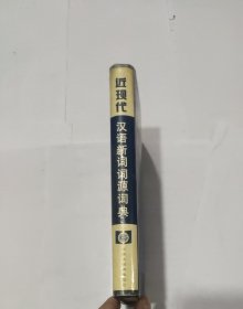 近现代汉语新词词源词典