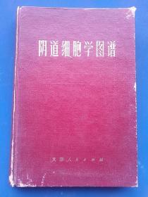 阴道细胞学图谱。