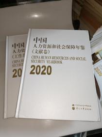 2020 中国人力资源和社会保障年鉴 工作卷 文献卷  精装