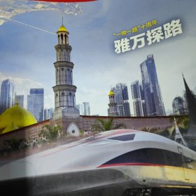 中国新闻周刊杂志一本，王志，张幼仪，康洪雷，雅万探路，