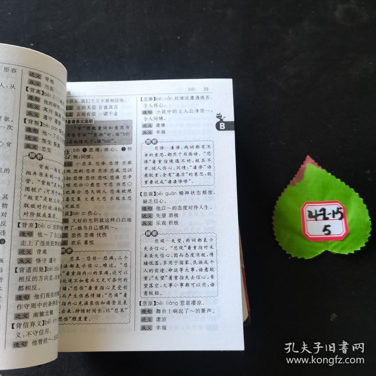 语文学习好帮手：同义词 近义词 反义词 组词造句 多音多义字 易错易混字大全（全新辨析版）