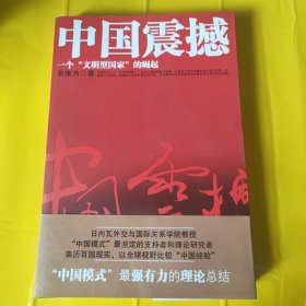 中国震撼：一个“文明型国家”的崛起