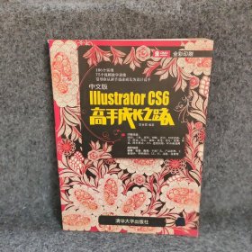 中文版Illustrator CS6高手成长之路