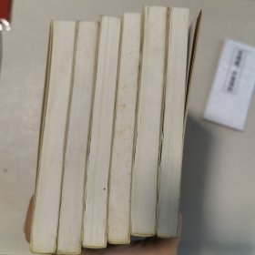 民国外交官传记丛书（顾维钧传、陆征祥传、宋子文传、颜惠庆传、王正廷传、陈友仁传）（6本合售）