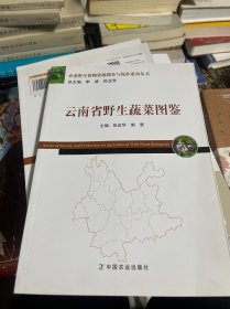 云南省野生蔬菜图鉴