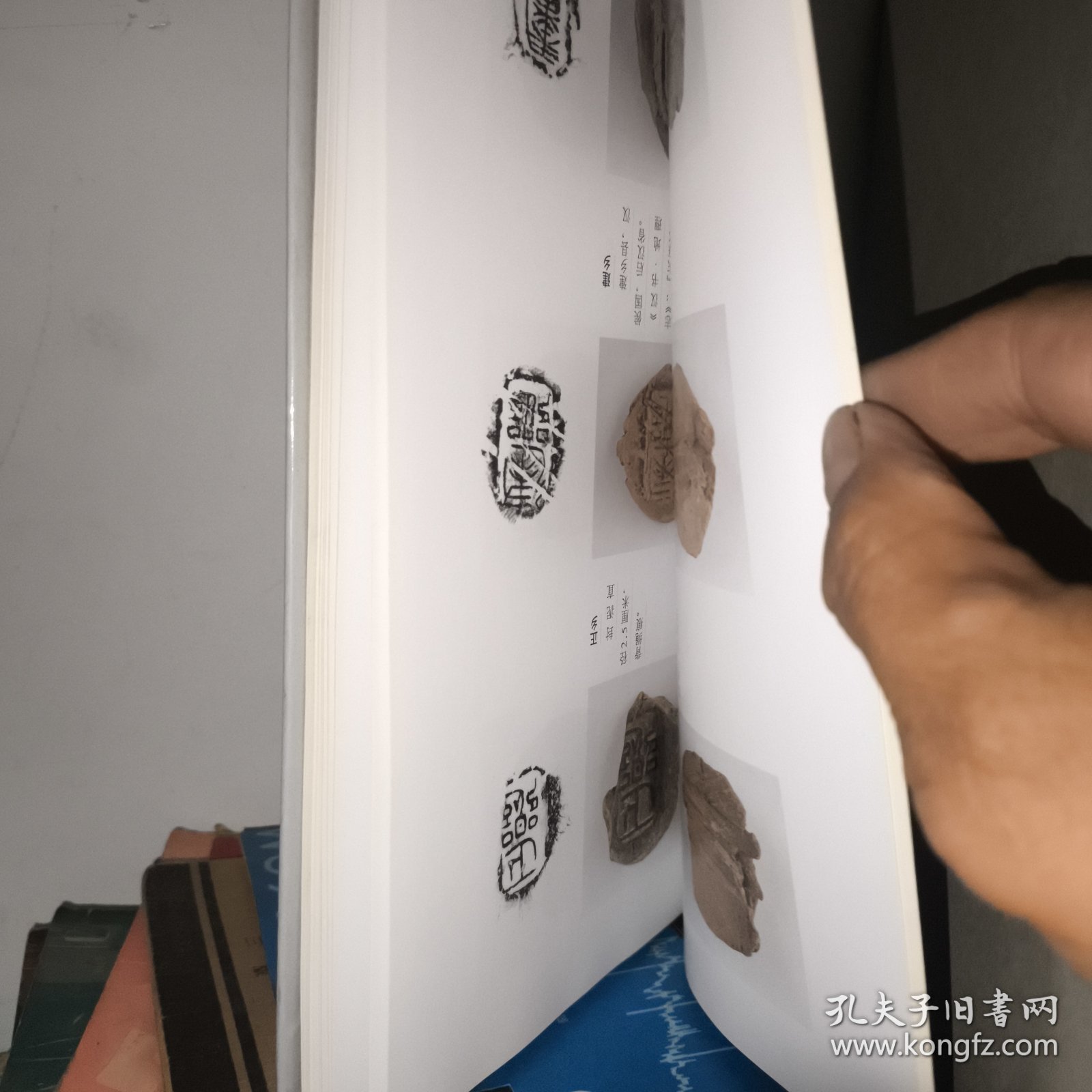 济南市博物馆馆藏精品-封泥卷