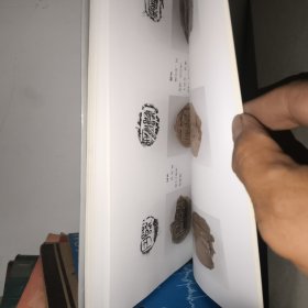 济南市博物馆馆藏精品-封泥卷