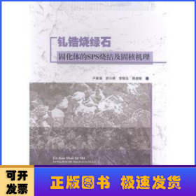 钆锆烧绿石固化体的SPS烧结及固核机理