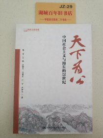 天下为公：中国社会主义与漫长的21世纪